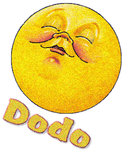 gif animé dodo